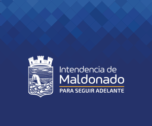 Intendencia de Maldo