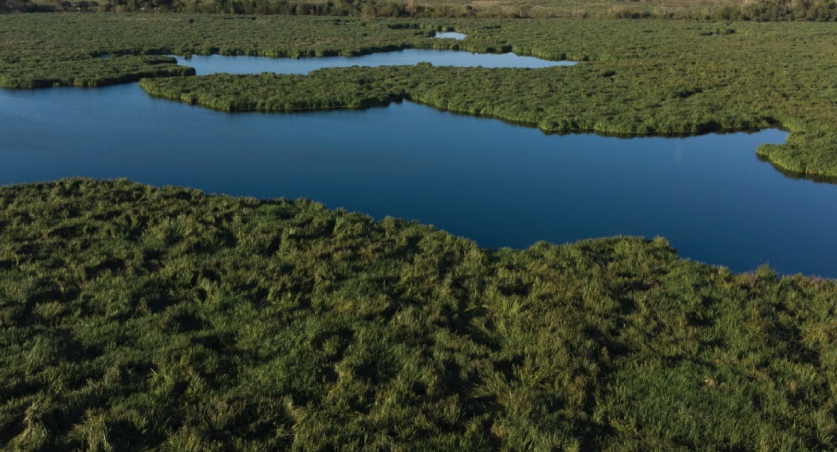 Megaproyecto en Bañados de Carrasco